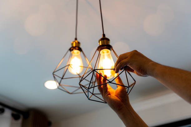Best Electric Panel Repair  in Wentworth, NC